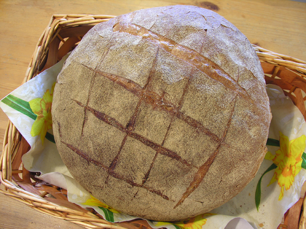 Arató kenyér